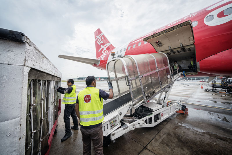 AirAsia low-cost carrier