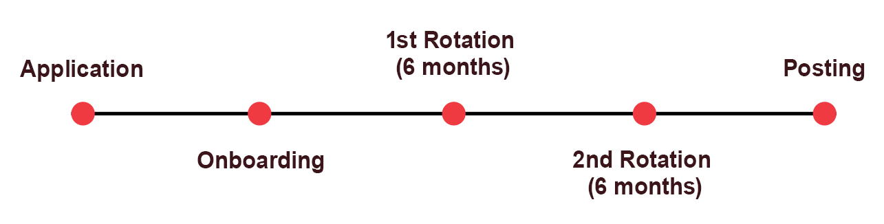 1-Year-Timeline